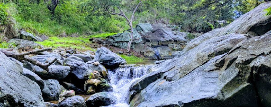 Piscina Naturales