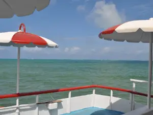 Terra Molhada - Passeio de Catamarã, Lancha, Barco no RN
