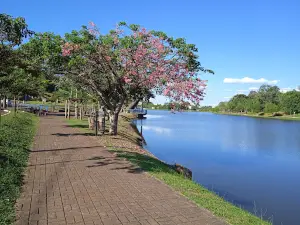 Lago Dourado