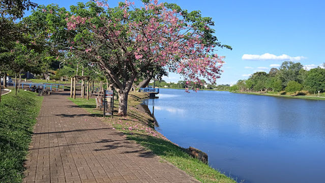 Lago Dourado