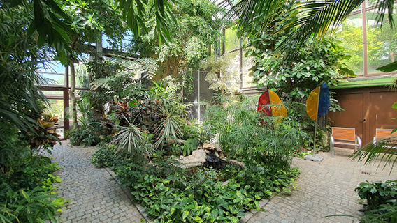 Palmenhaus Coburg