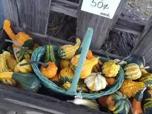 Perryville Pumpkin Farm