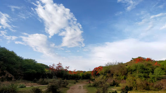 Wara Gujran