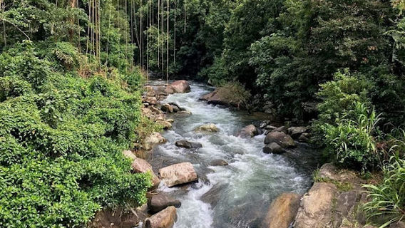 PALAMPITIYA VIEW POINT