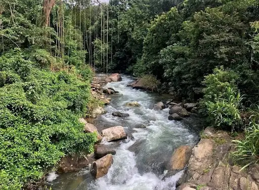 PALAMPITIYA VIEW POINT