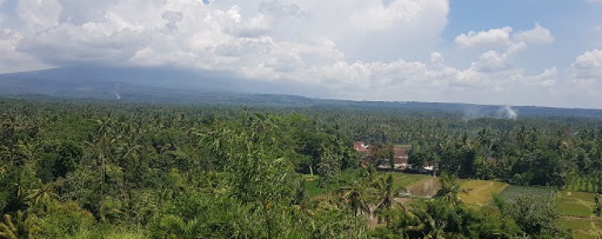 Bukit Mondoleko