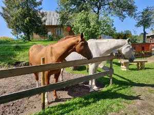 JuRita mini Zoo