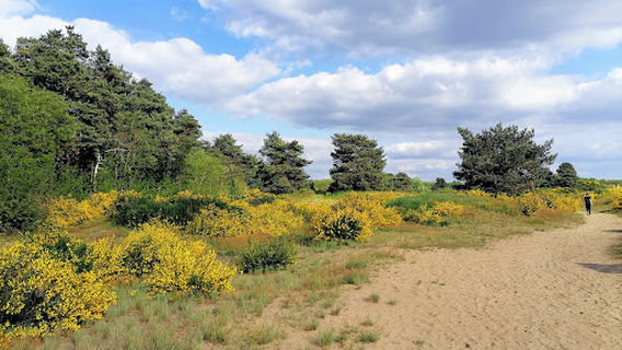 Đurđevački Pijesci