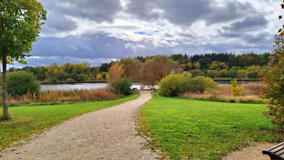 Goldbergsee