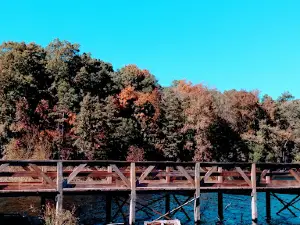 Lake Poinsett
