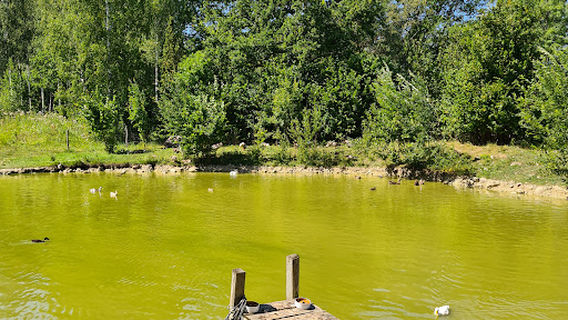 Saaremaa Loomaaed Risto Ränk Farming