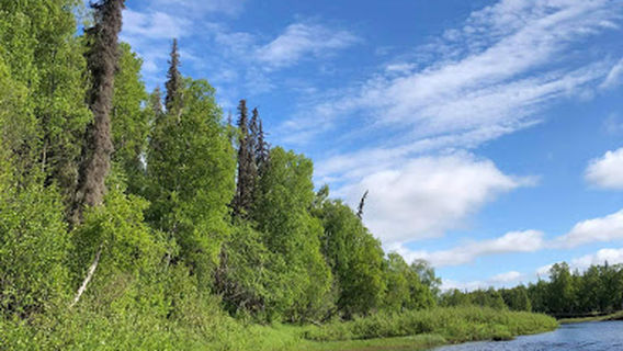 Miller’s Riverboat Service