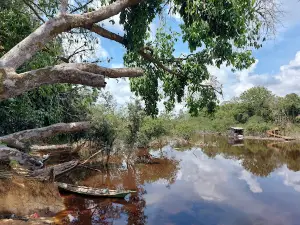 Ecowisata Desa Bukit Bamba