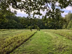 Rudky Arboretum
