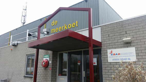 De Meerkoet