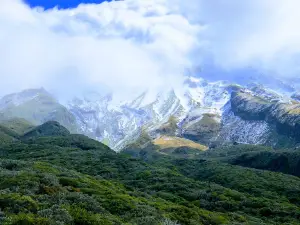 Egmont Forest