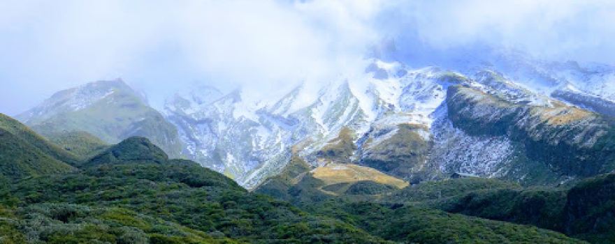 Egmont Forest
