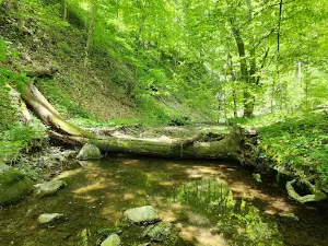 Big Walnut Nature Preserve