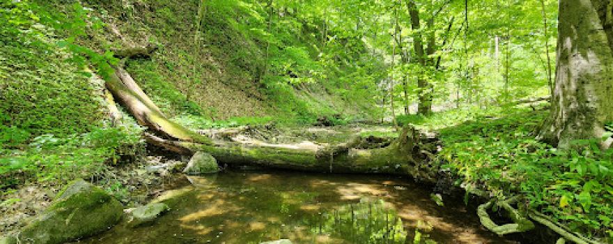 Big Walnut Nature Preserve