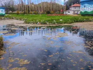Kaynarpınar Mesire Alanı