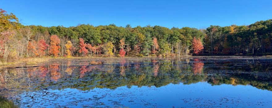 Shenipsit State Forest-Soapstone Mountain