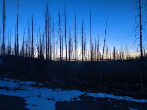 Deer Creek Forest Camp