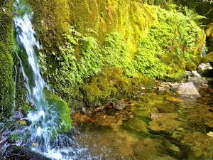 Nacimiento del Río Cadagua (Burgos)