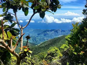 Cloud 9 Night Club & Lounge