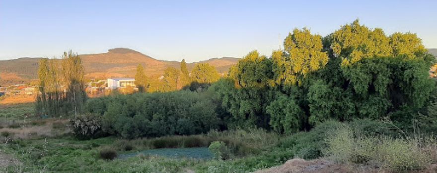 Parque Altos de Quirihue