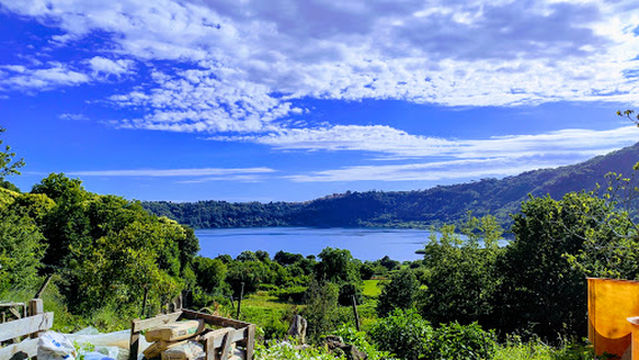 Azienda Agricola Il Nemus