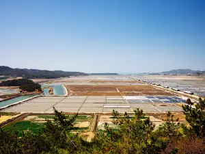 Taepyeong Salt Farm