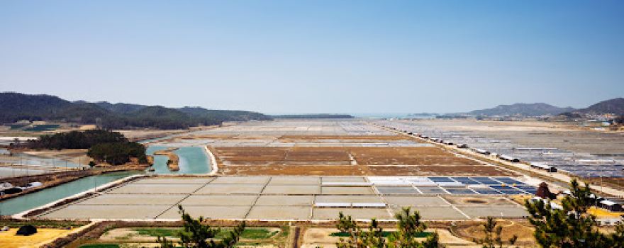 Taepyeong Salt Farm