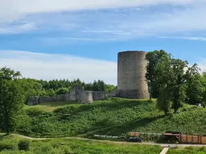 Site médiéval de la Tour de Bridiers
