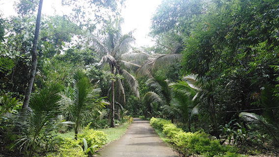 Caveland Nature Park