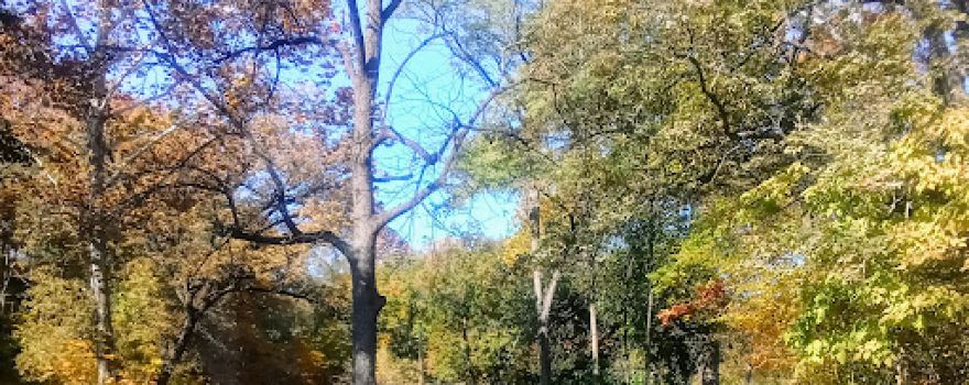 Monticello City Parks & Rec
