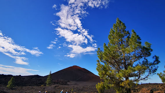 Enea Trekking in Tenerife