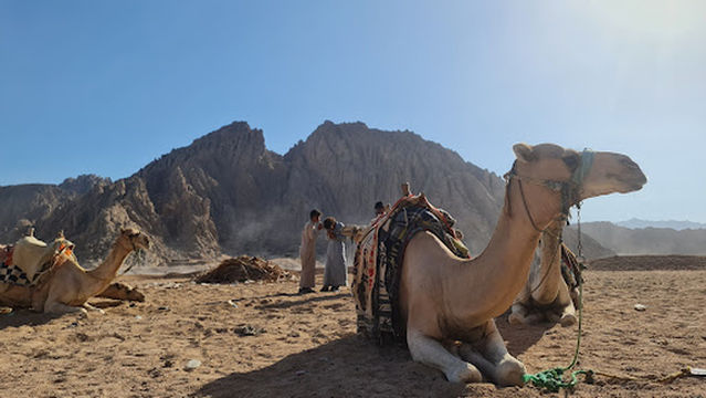 Safari Center Sharm El Sheikh