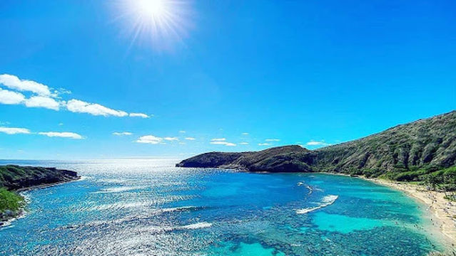 North Shore Beach Bus
