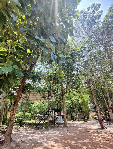 Elephant safari Alleppey