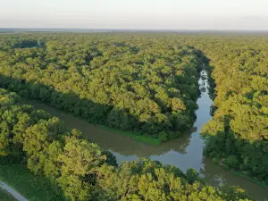 Panther Swamp National Wildlife Refuge