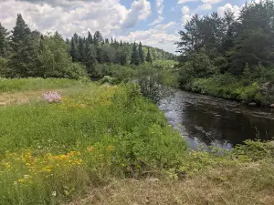 Paint River Forks Campground