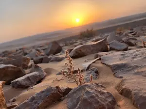 Kasuy Dunes