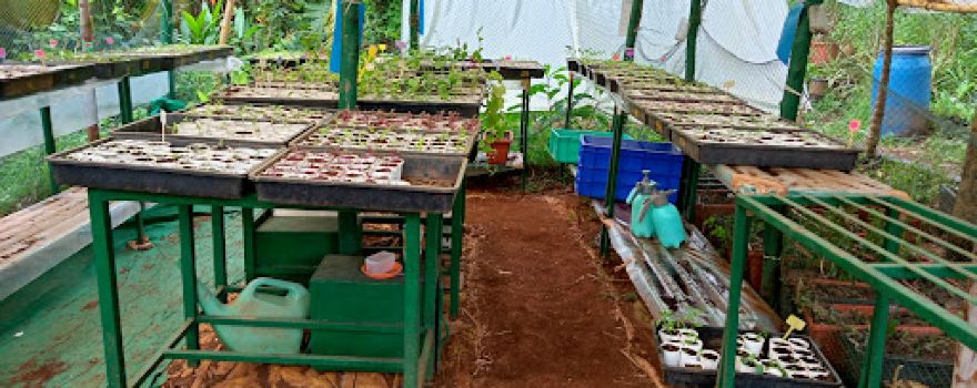 Green Essentials, Socorro, GOA