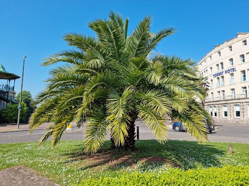 Torquay Seafront