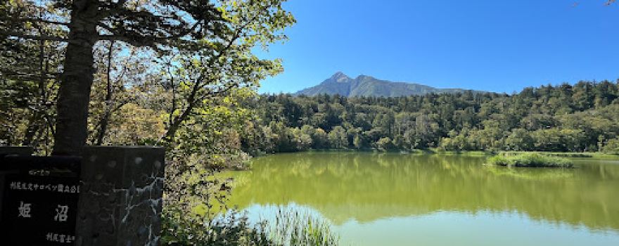 Himenuma Pond
