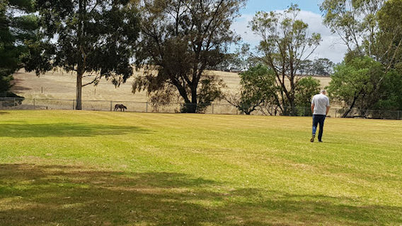 Angaston
