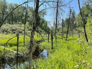 Marchand Provincial Park