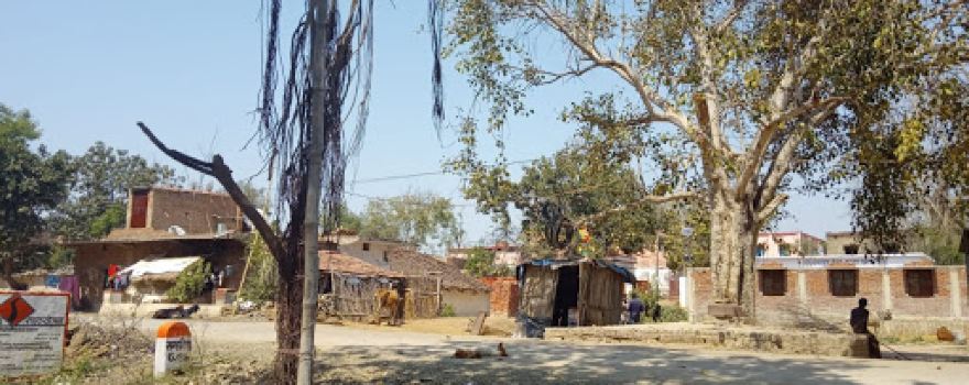 Bharjuna Devi ji Temple