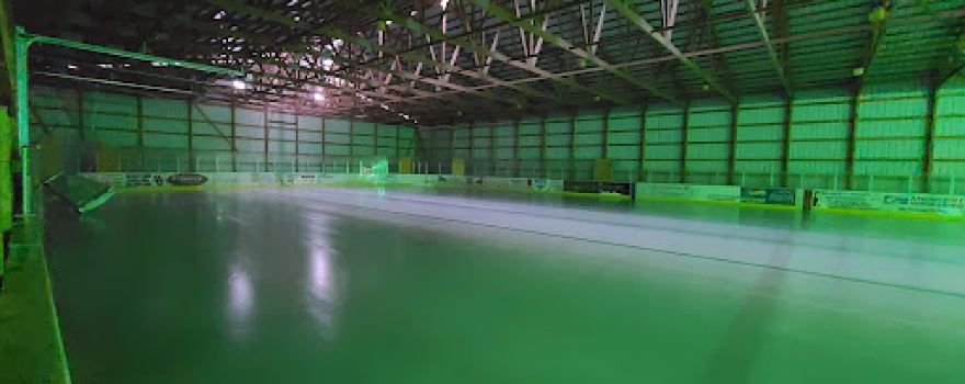 Schulz Rink of Dreams