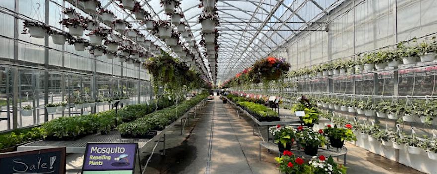 Century Home and Garden Greenhouses